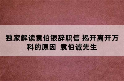 独家解读袁伯银辞职信 揭开离开万科的原因  袁伯诚先生